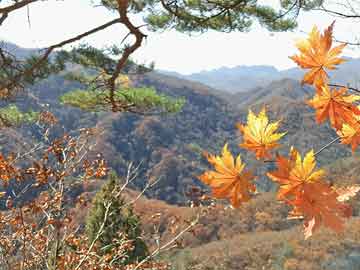 米非司酮片全国药店微信贾恩：为自动驾驶汽车提供保险仍是一个 “悬而未决的问题”
