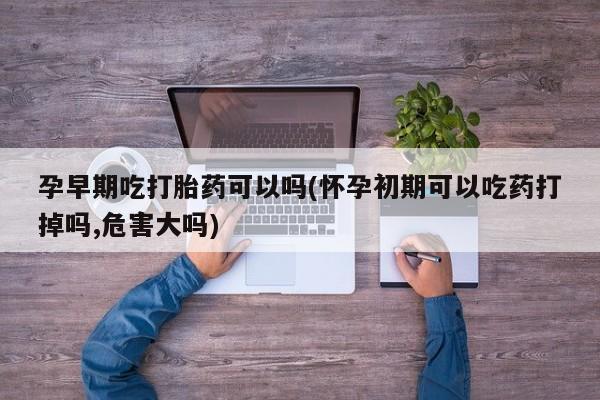 米非司酮片全国药店微信孕早期吃打胎药可以吗(怀孕初期可以吃药打掉吗,危害大吗)