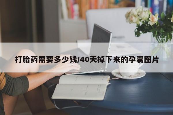 米非司酮片全国药店微信打胎药需要多少钱/40天掉下来的孕囊图片